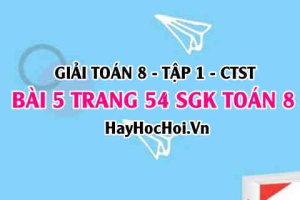 Giải bài 5 trang 54 Toán 8 Tập 1 SGK Chân trời sáng tạo
